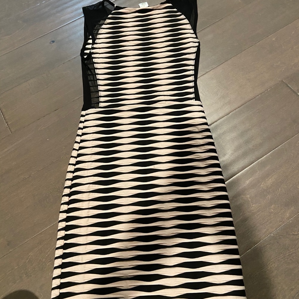 Fitted, striped Arden B dress